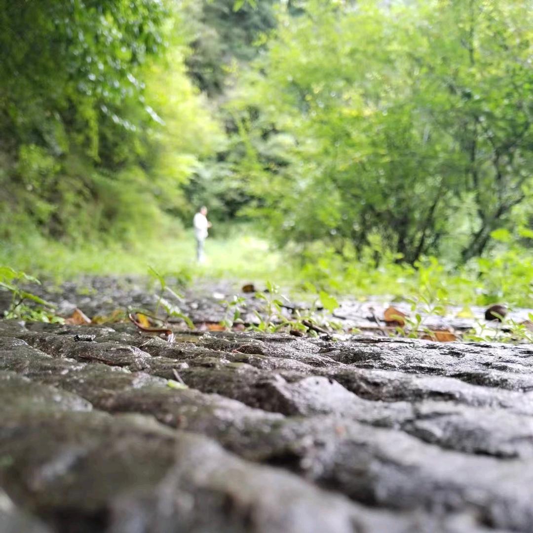 风雨过后总是晴