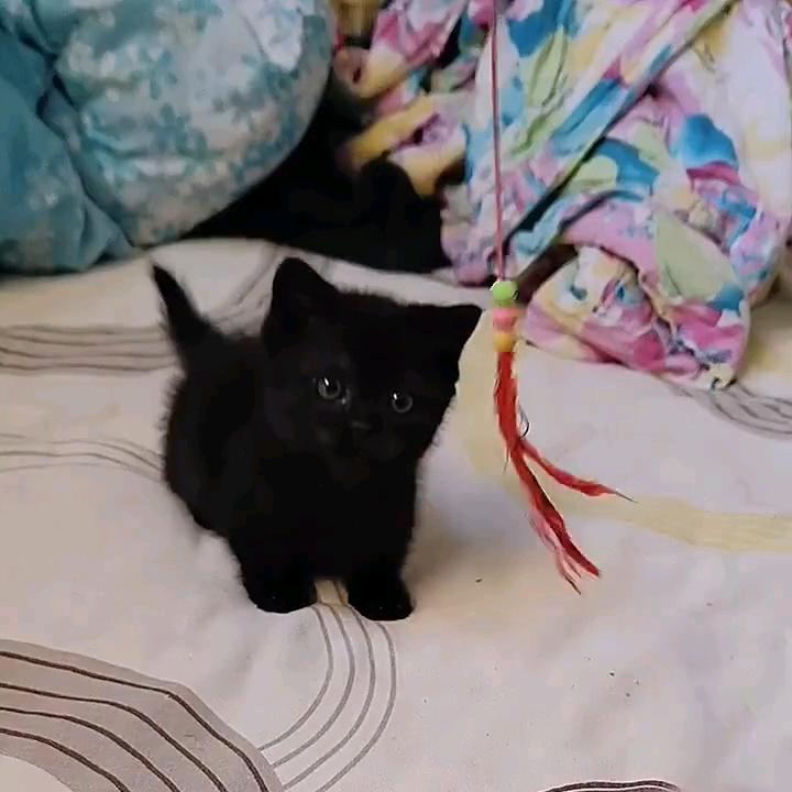 এ᭄ꦿ烟火ོྂཾ࿆࿐