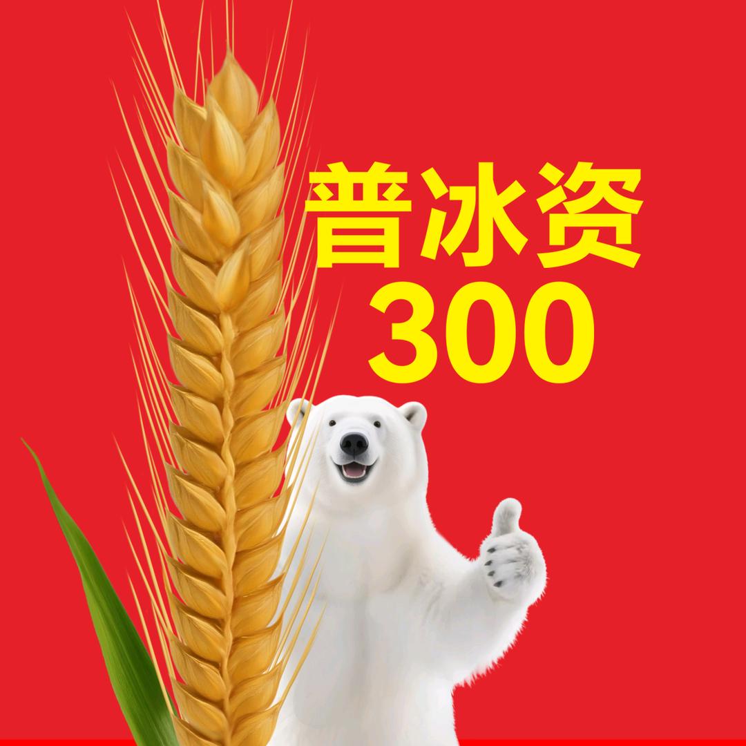 普冰资300