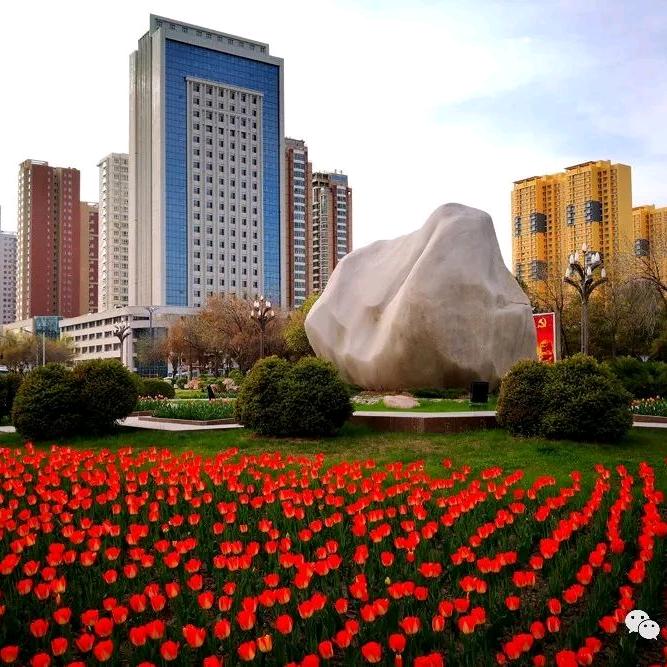 奎屯小毅