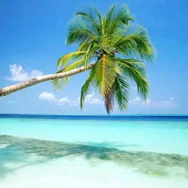 @🌺简单最美 💋不能连续点赞