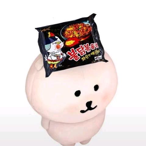 爱吃火鸡面的小熊