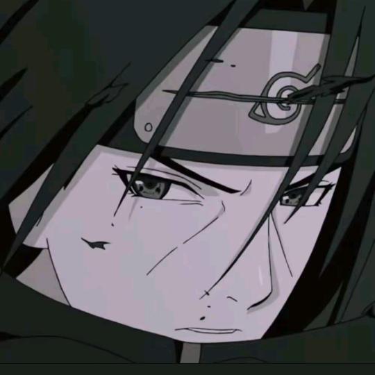 我和火影
