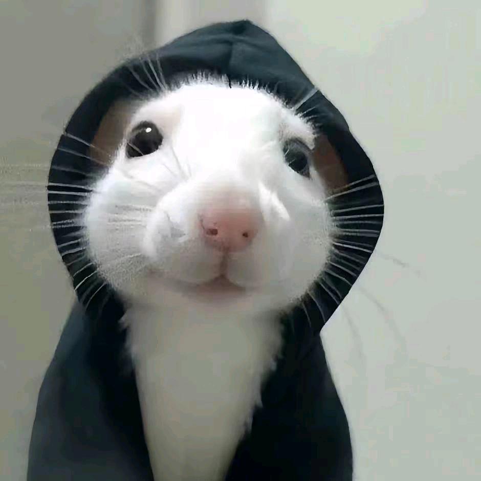嗯哼