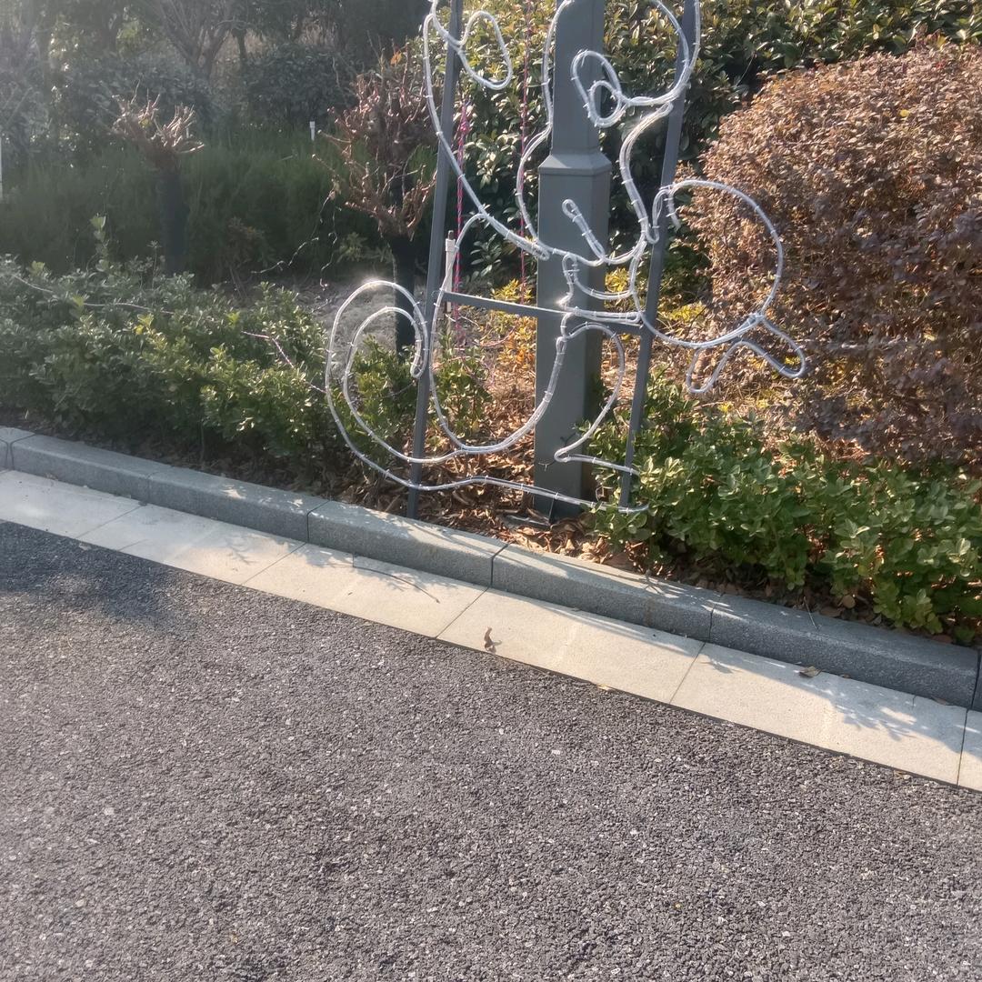 欣欣向荣