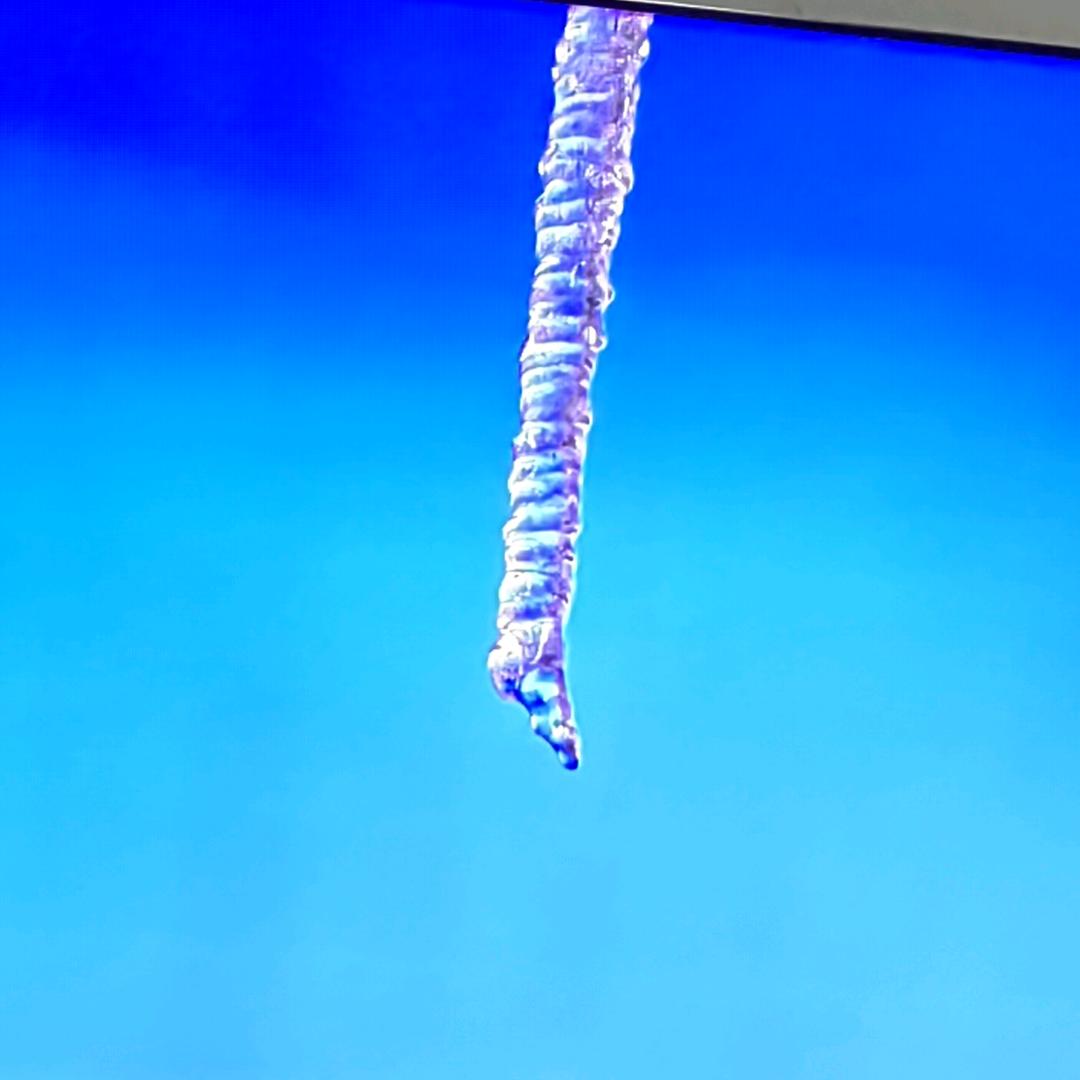 蔡蔡
