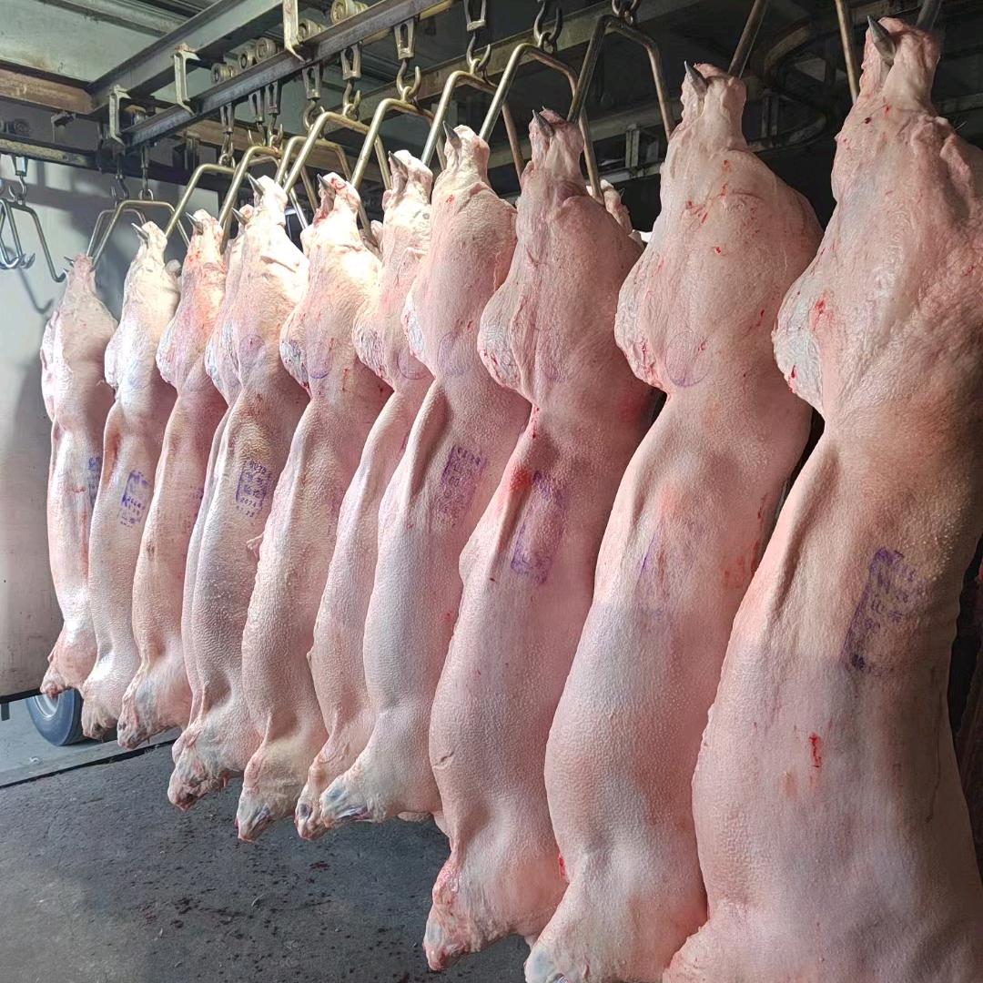 ｀｛品瑞猪肉批发）