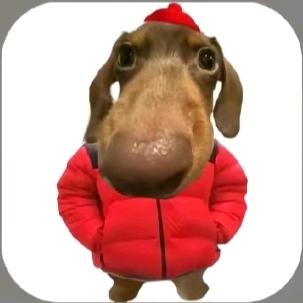 我爱盐煎虾