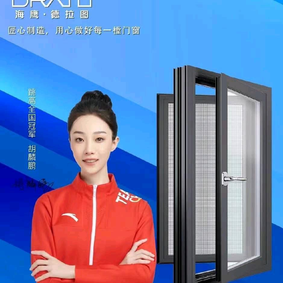 皇派门业一金蚂蚁门窗