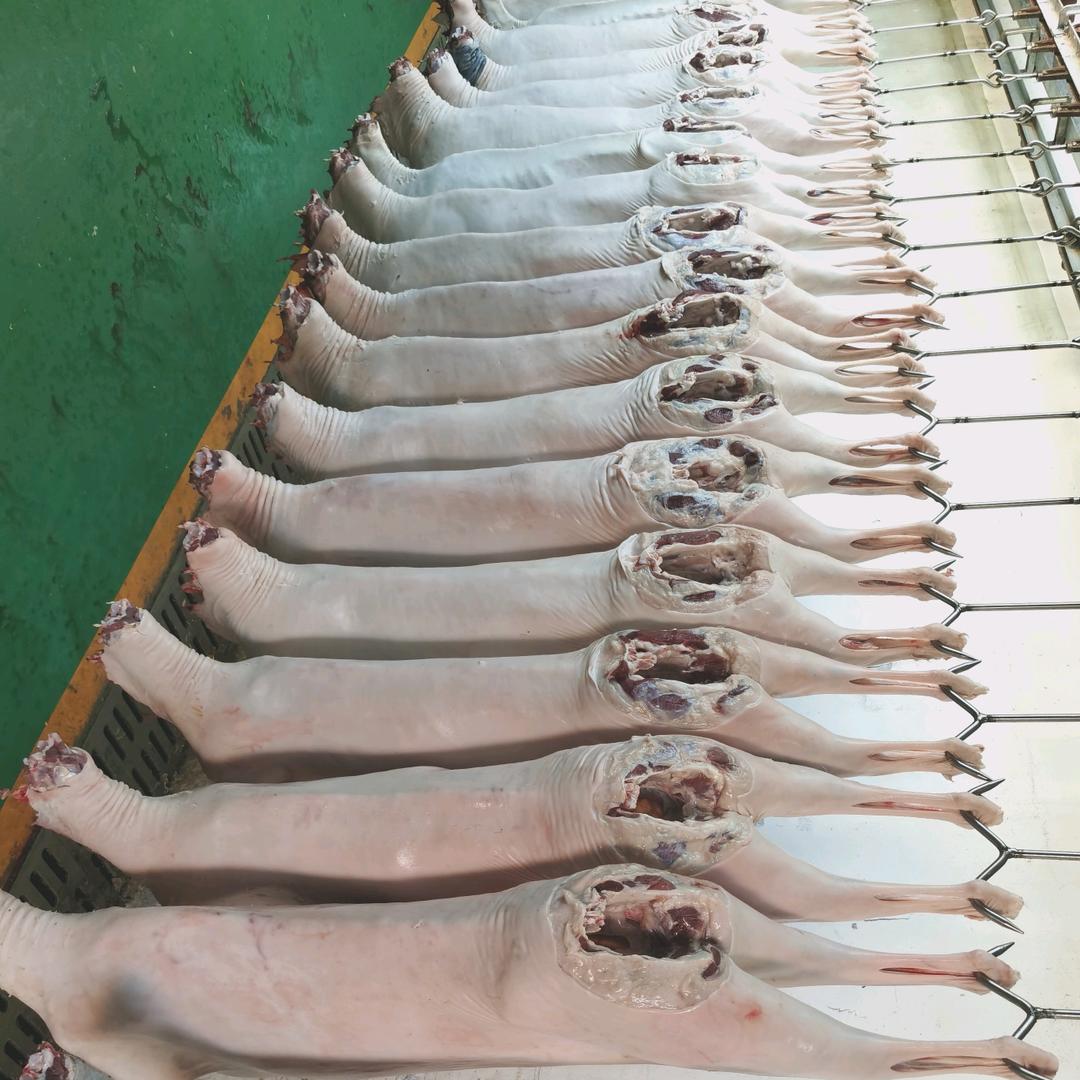 国权肉业带皮羊产品 刘欢