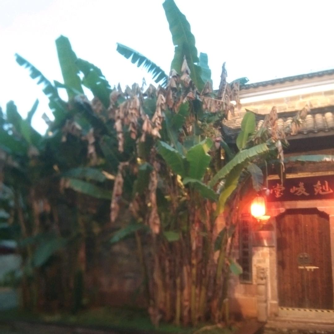 一线寻瓷