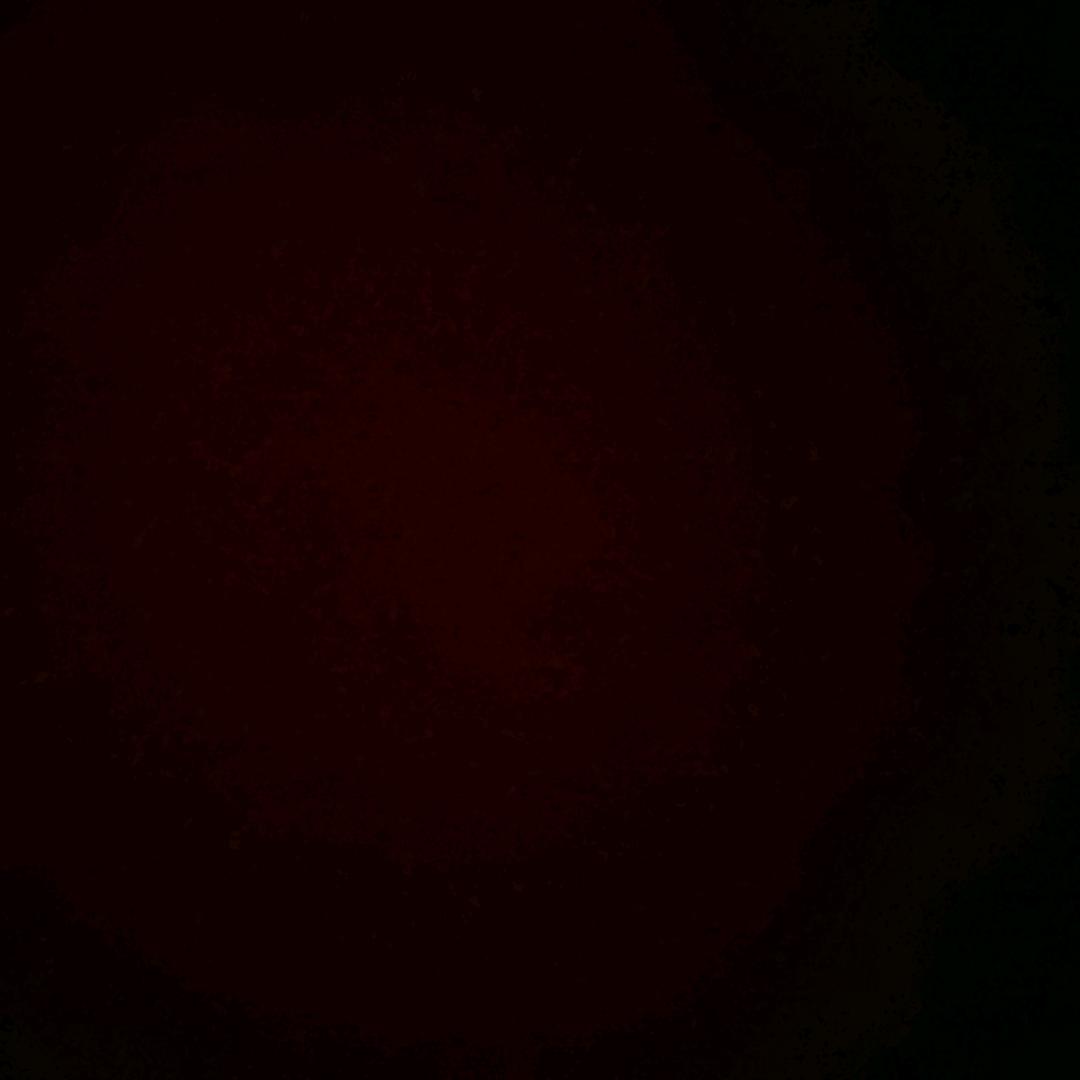 壳多