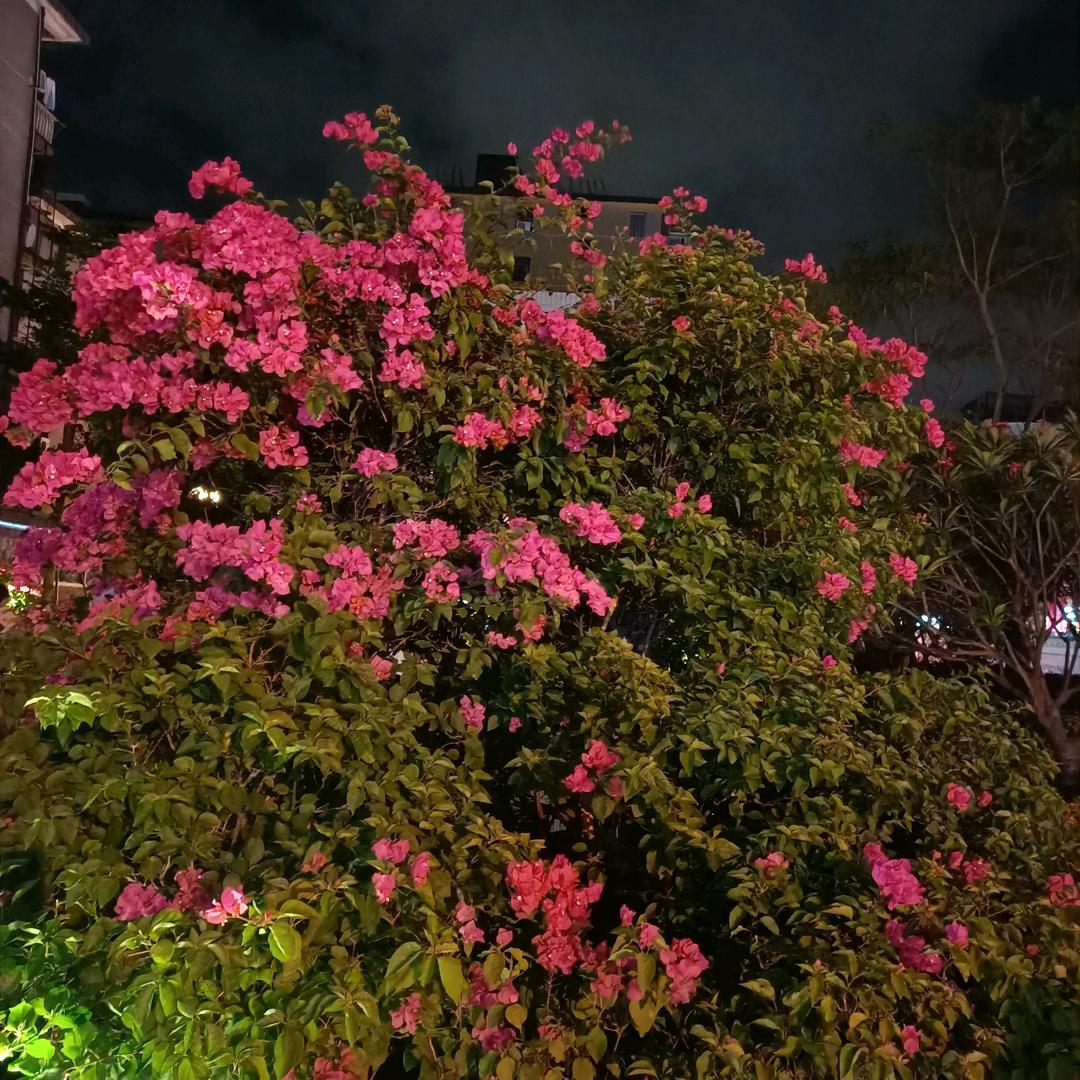 余生不打扰