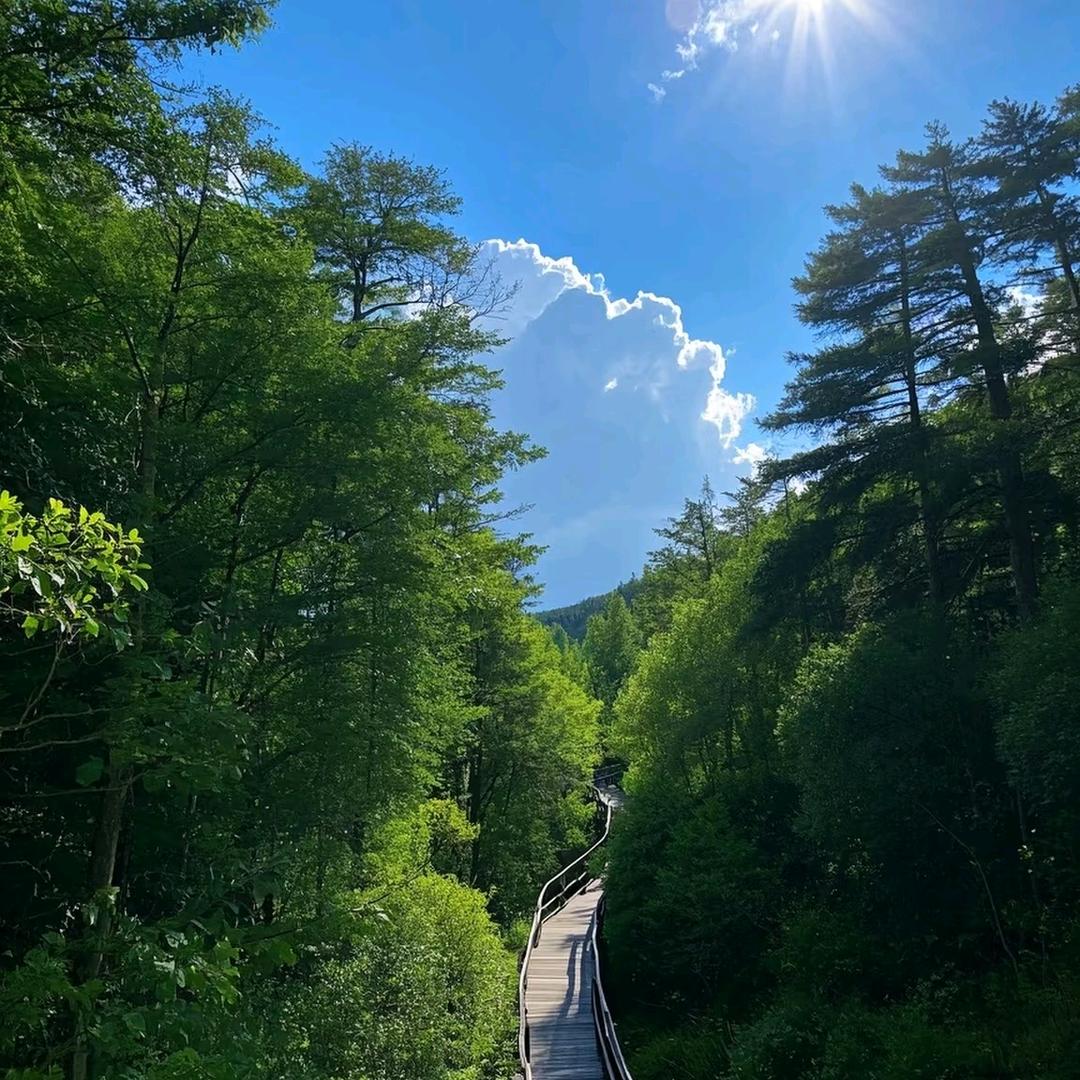 施隆新流向运输优品店