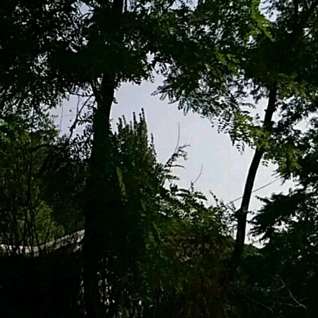 寂寞的人