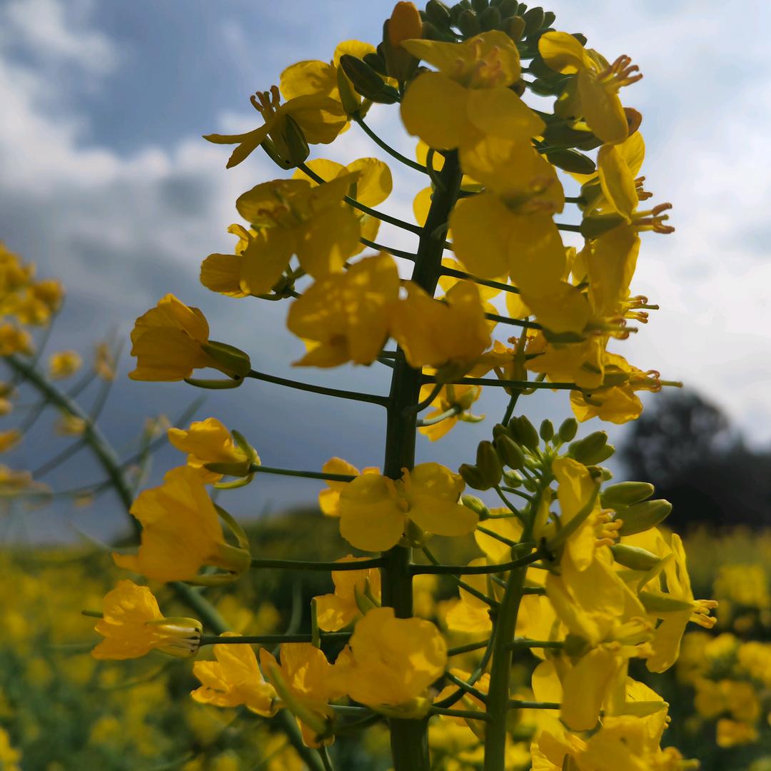 发姐抖店好物分享