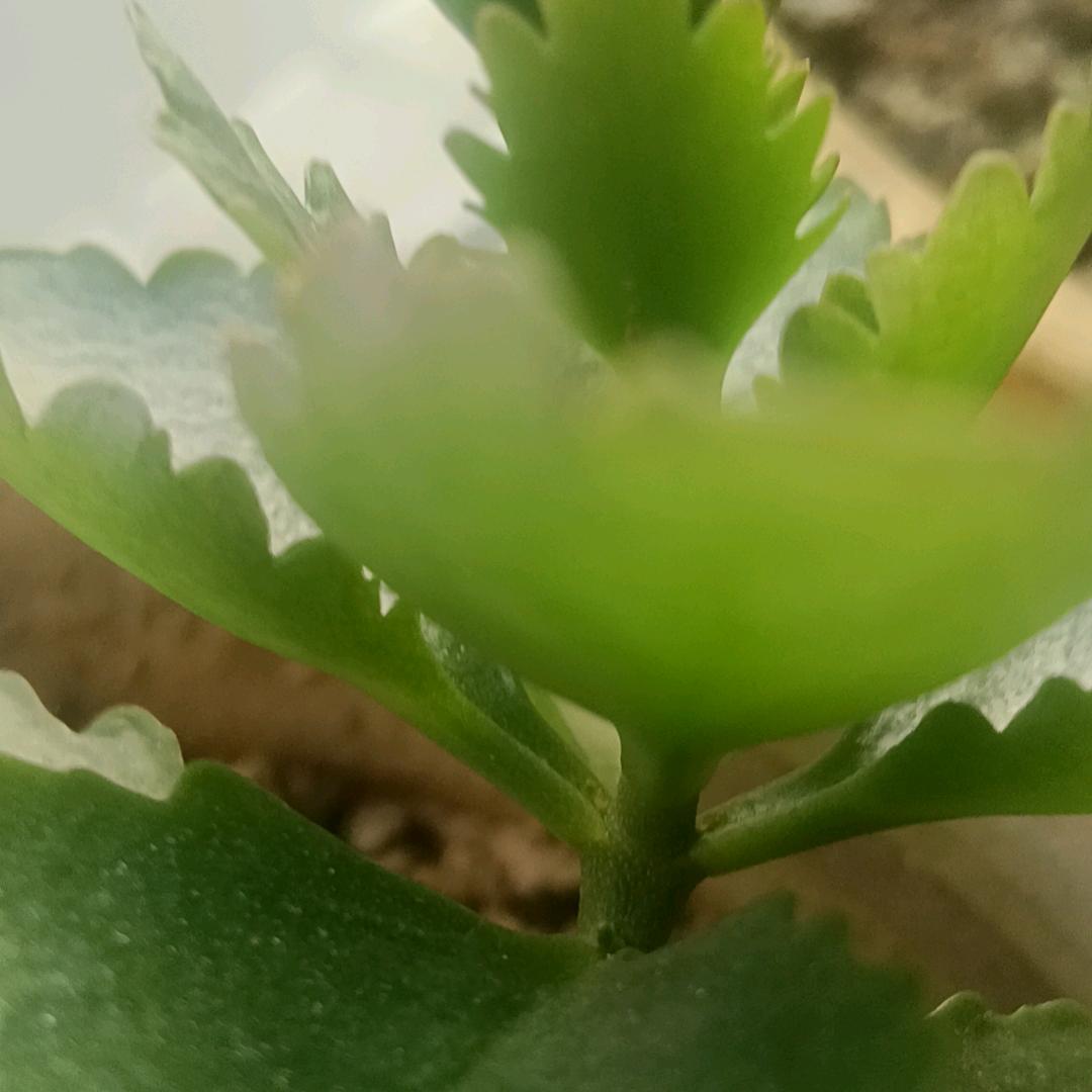 珍惜你的爱