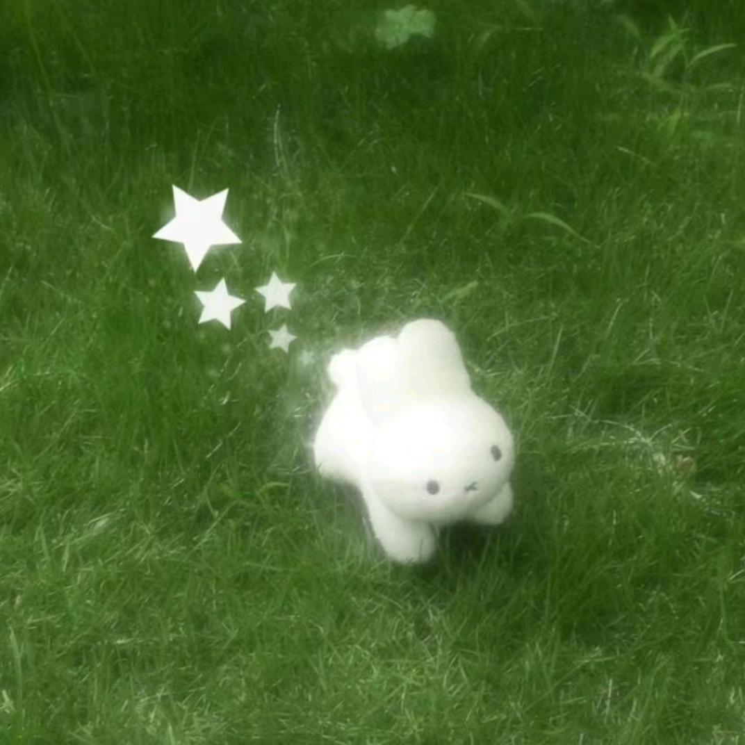 发菜有财
