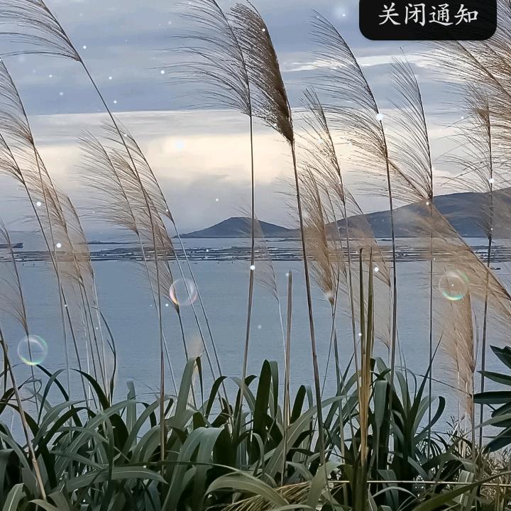 L先生2