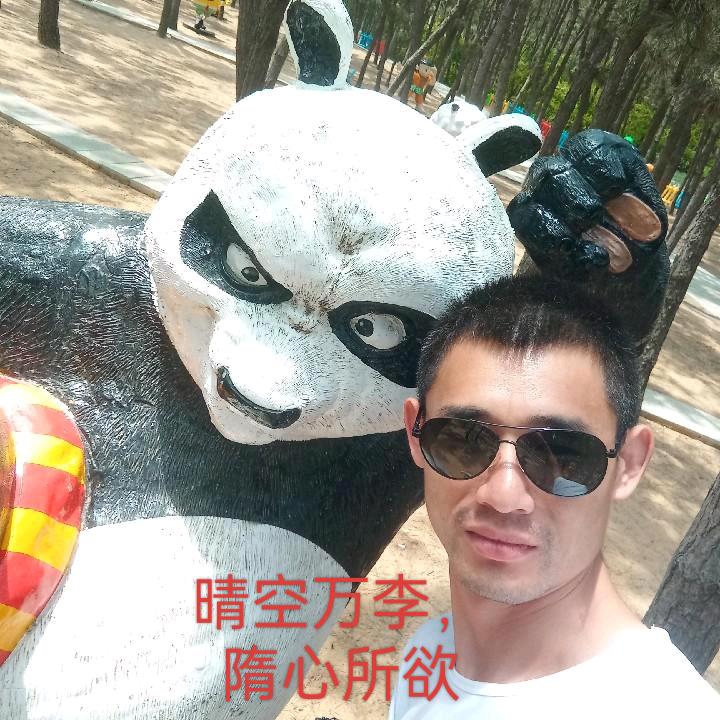 隋心所欲