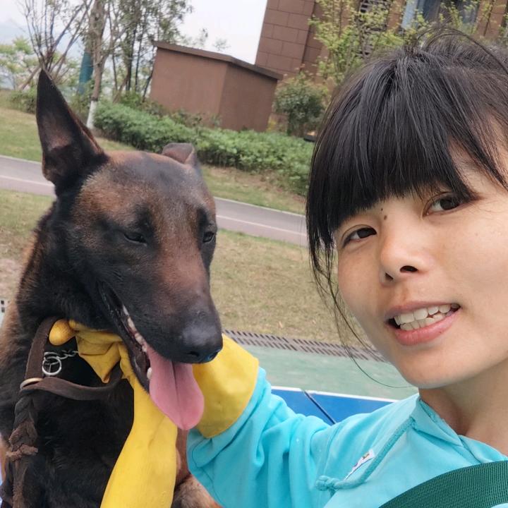 拖旋挖的李逍遥