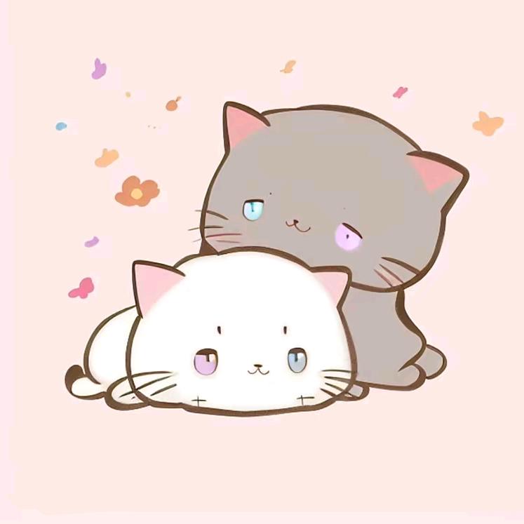 小猫豚玩具屋