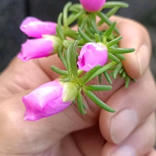 幸福