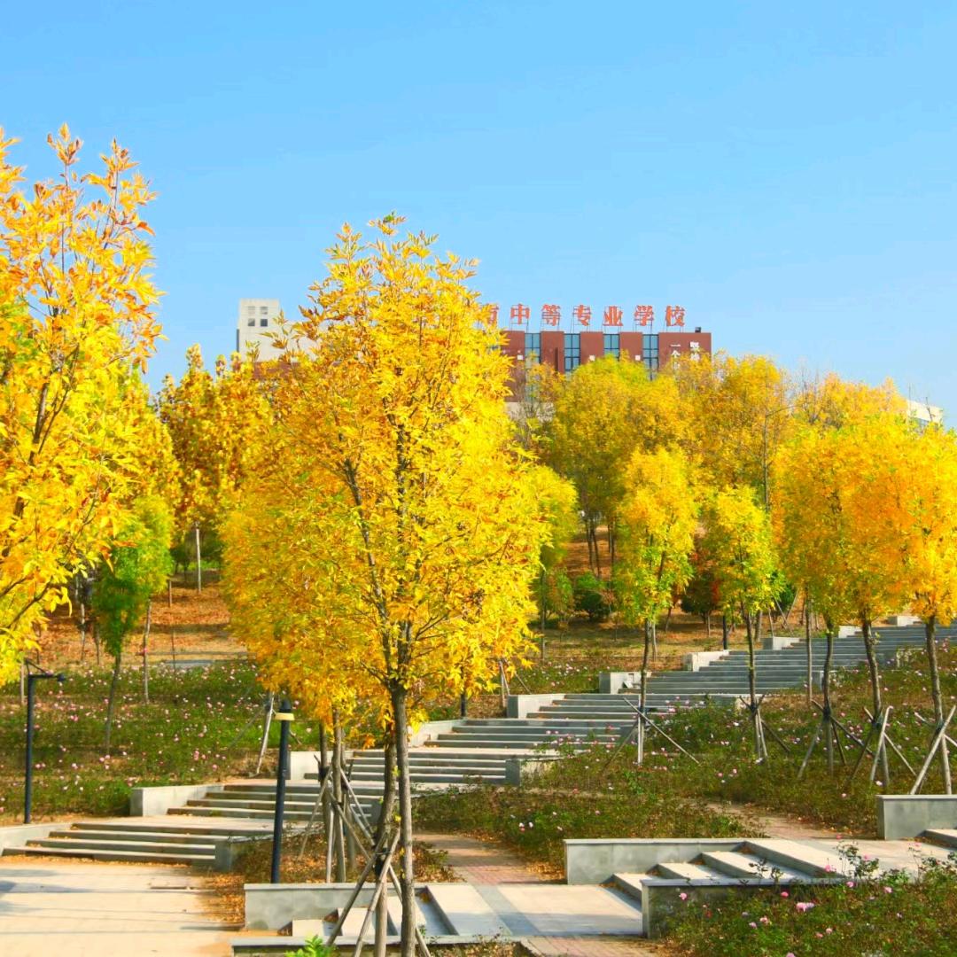 王老师职业规划