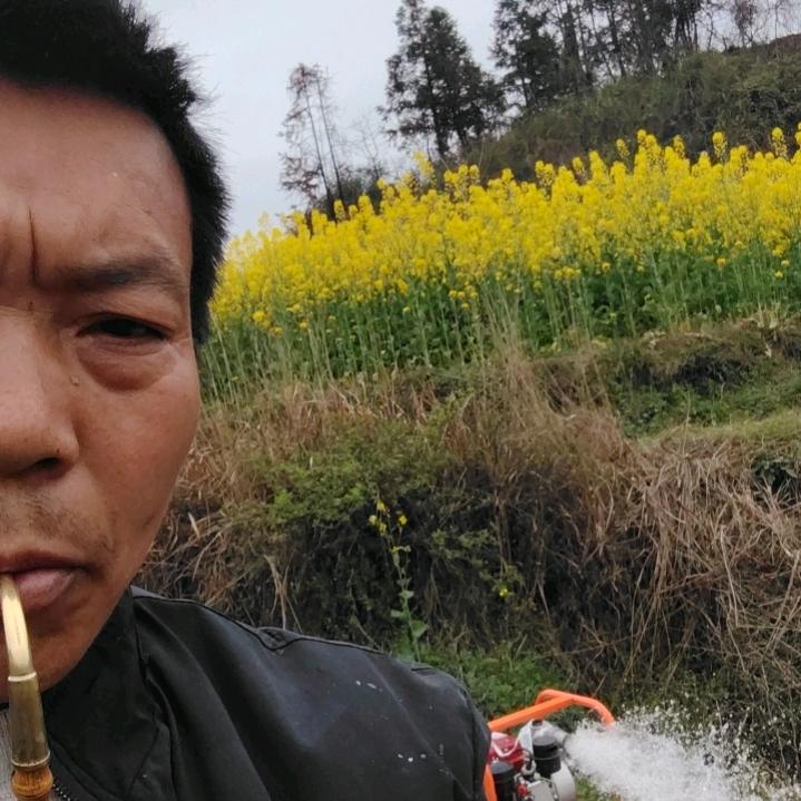 单身王′