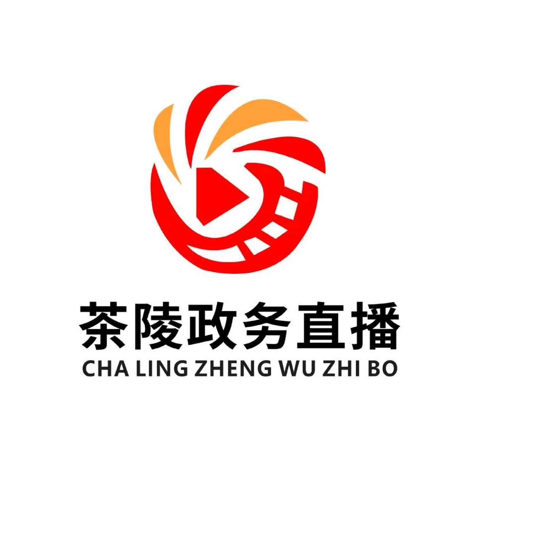 茶陵行政审批服务