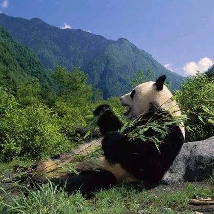 可以回头看 别走回头路