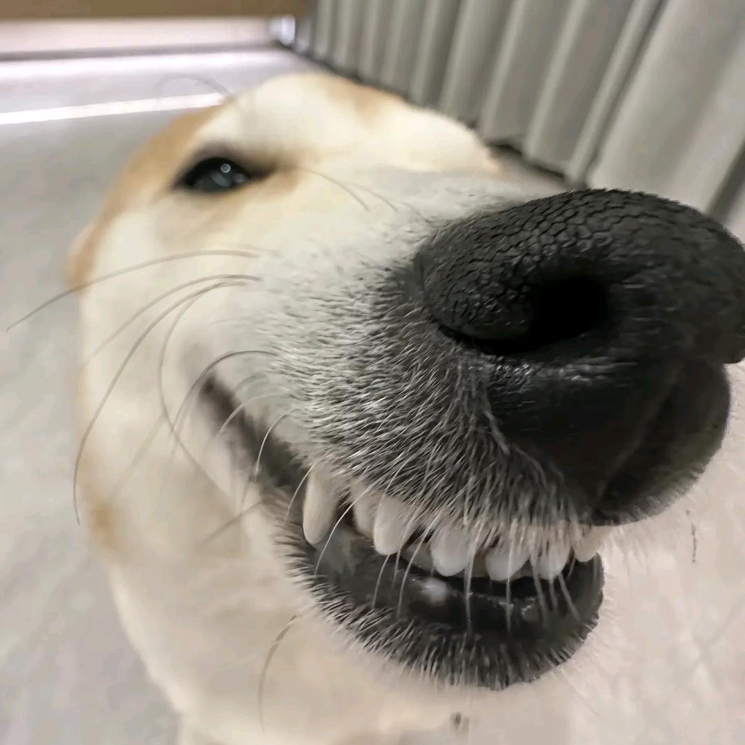 难绷