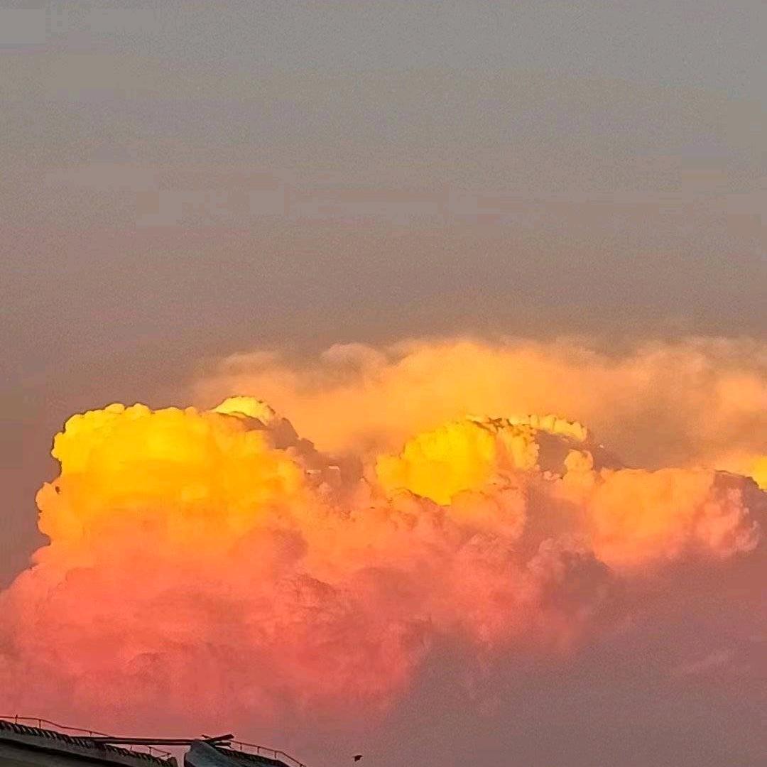 🍊