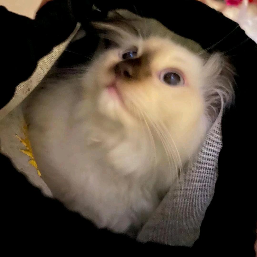 小宇