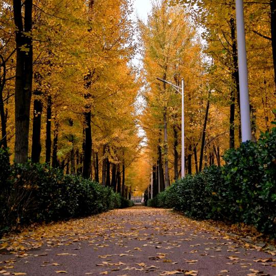 清晨的风傍晚的雨