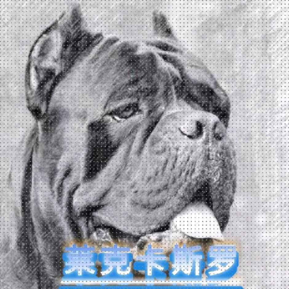 A＋莱克