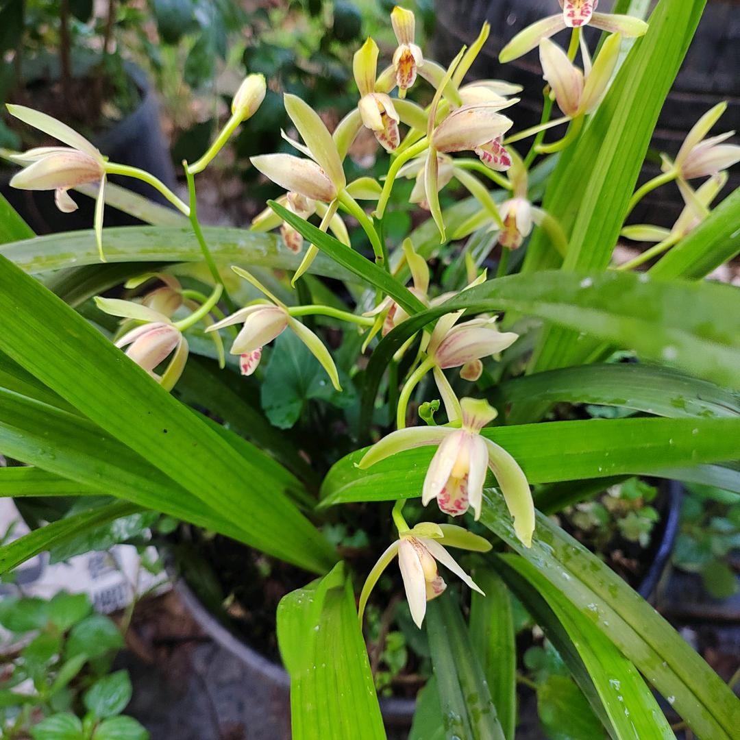 你风我雨