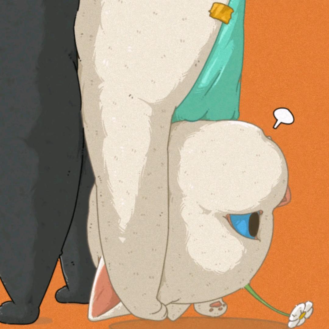 水瓶♒