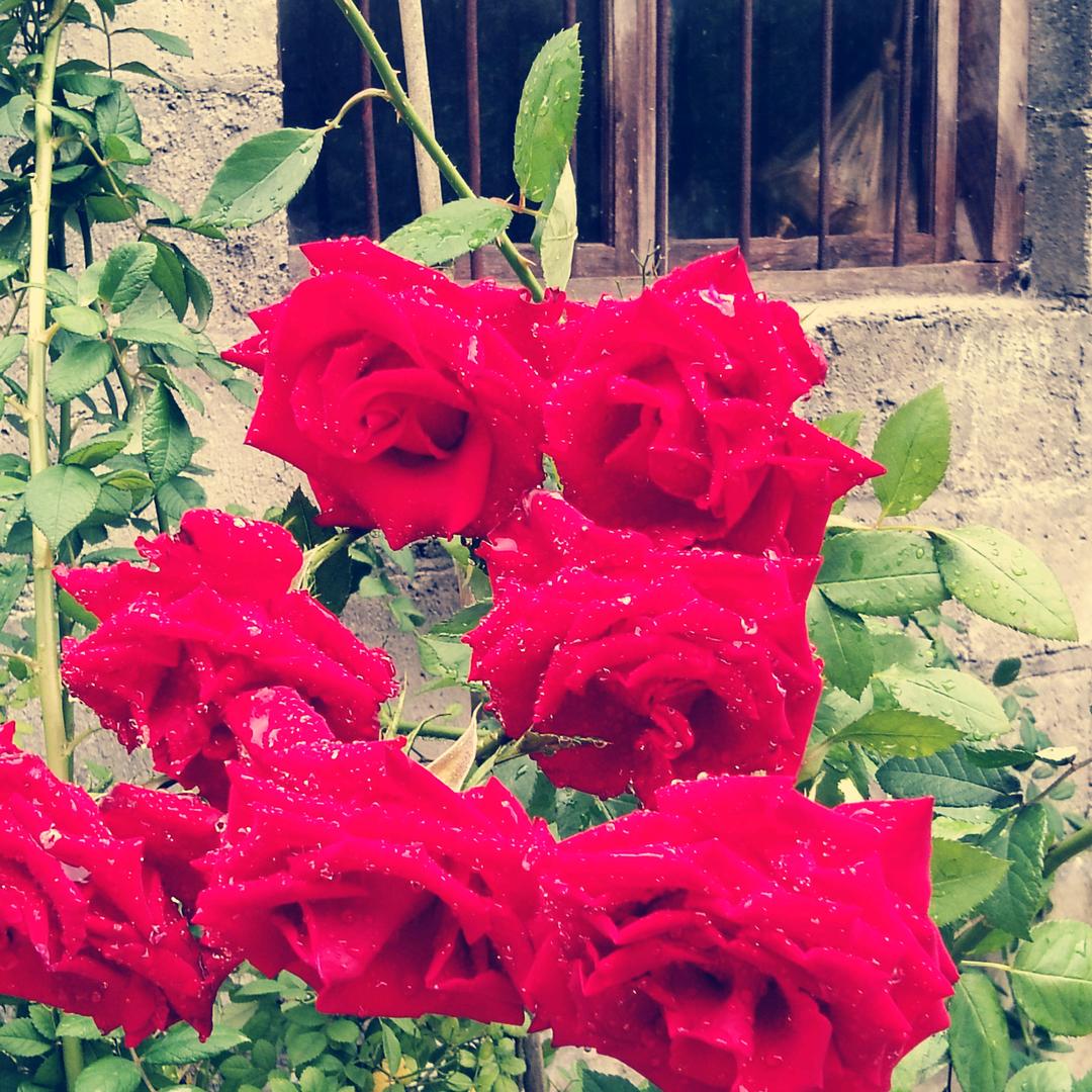 你不配知道我的名字