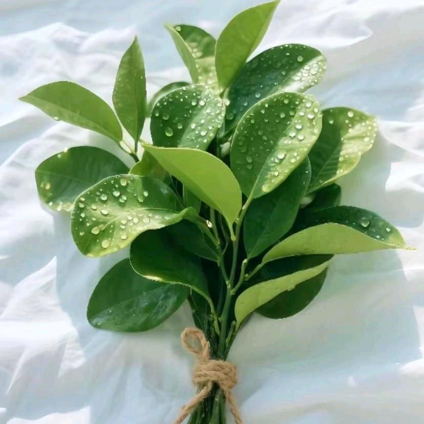 用户不存在