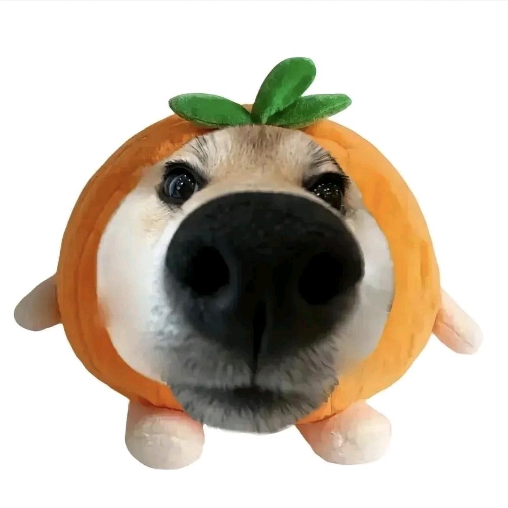 俺不中赖