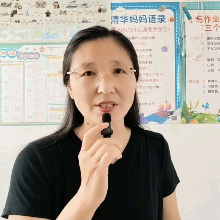 艾嫣老师（中学学习规划）