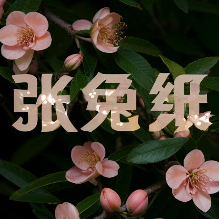 兔纸愛吃胡萝卜