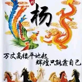 AAA陇南杨哥专业装瓜队，9391