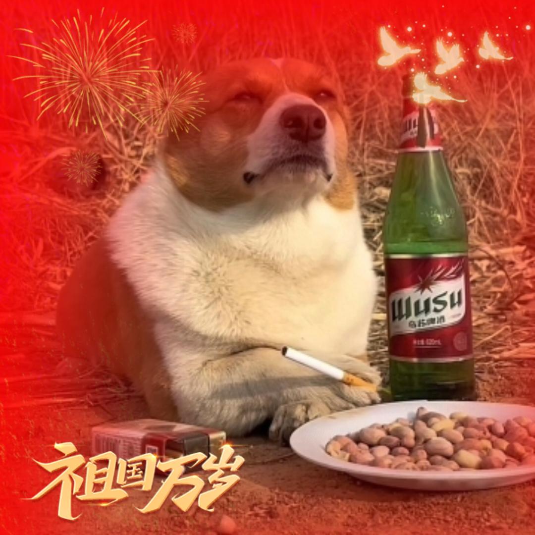 晚与安