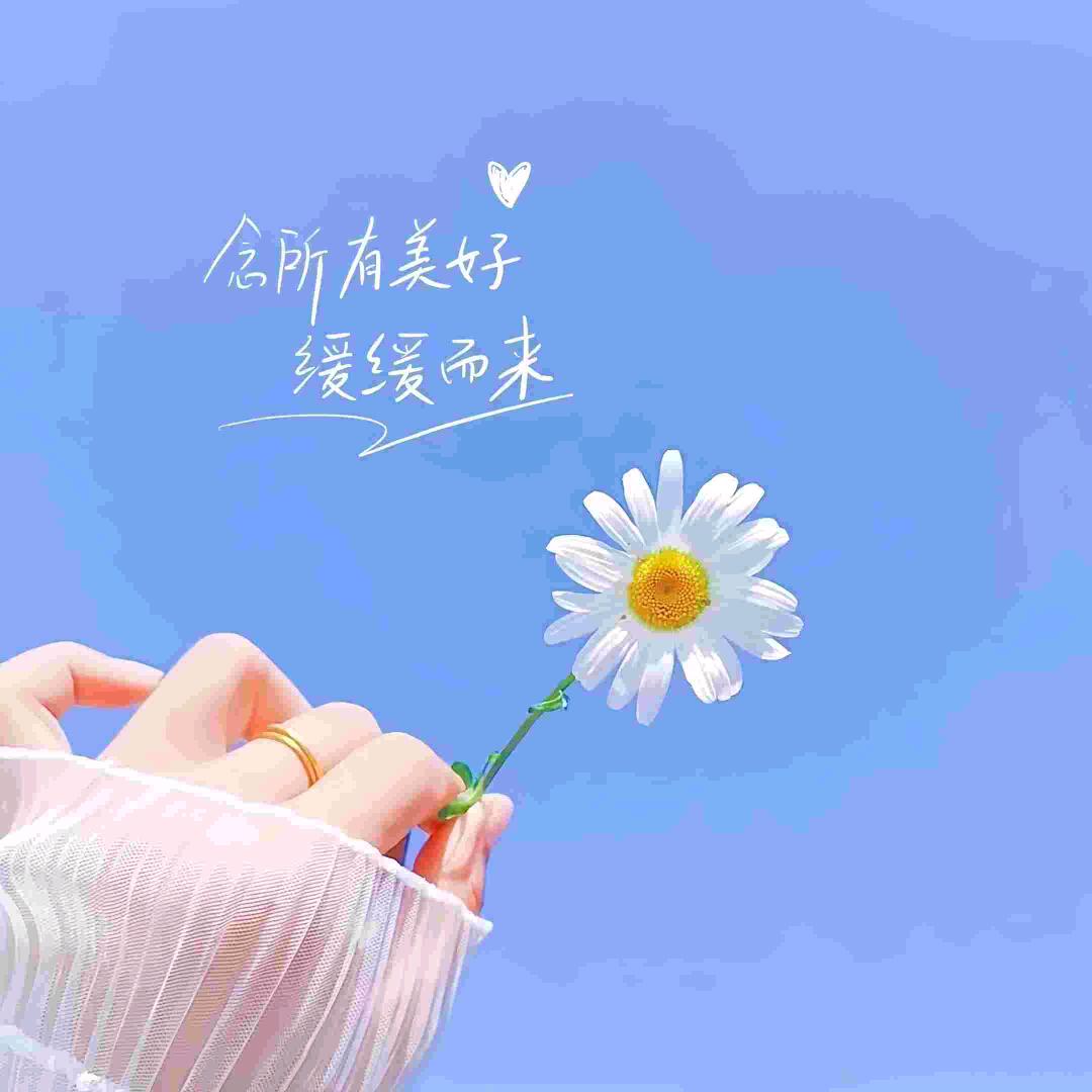 大倩倩