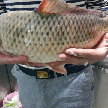 今生缘515