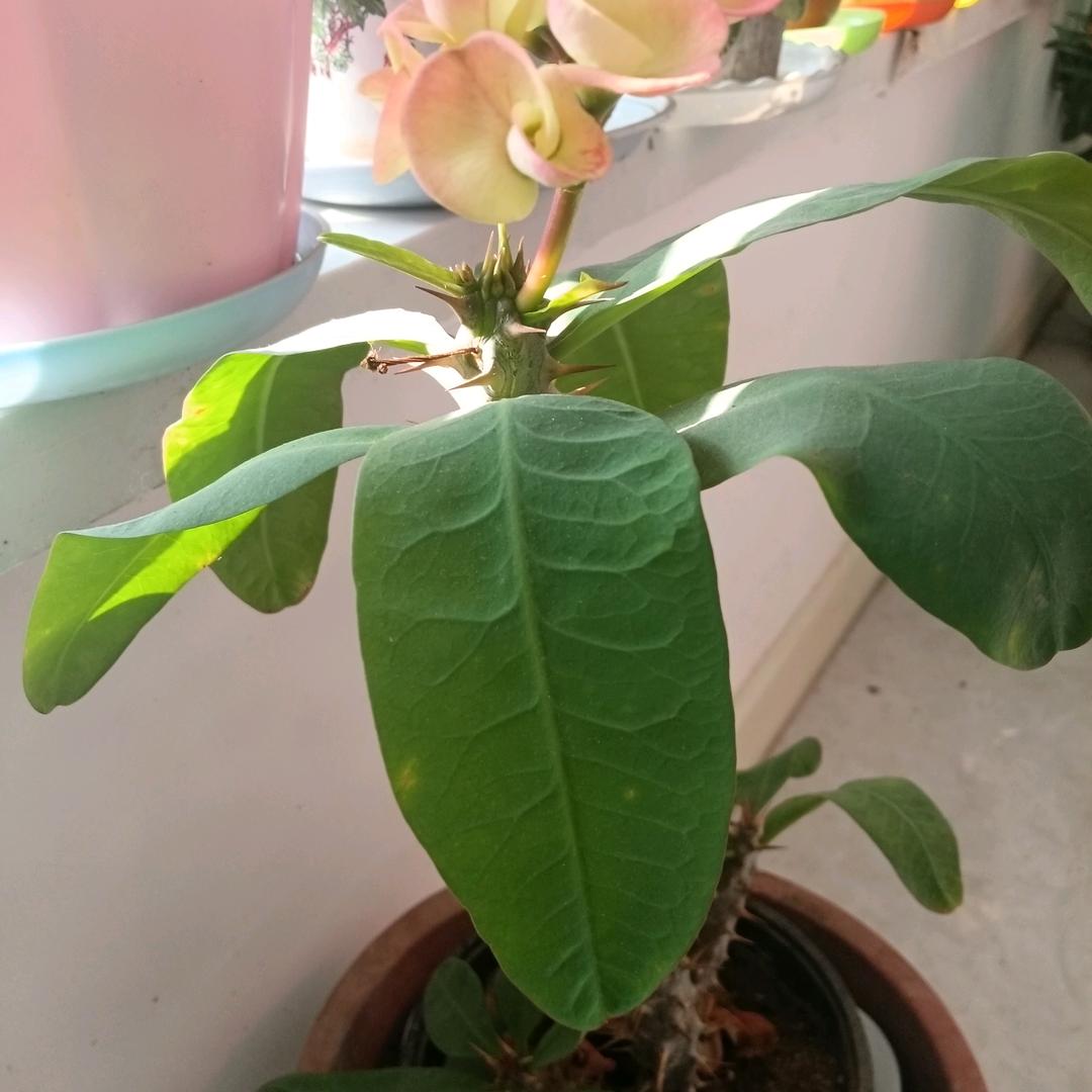 👉记住我！👈