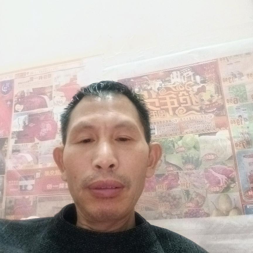 刘陶彦