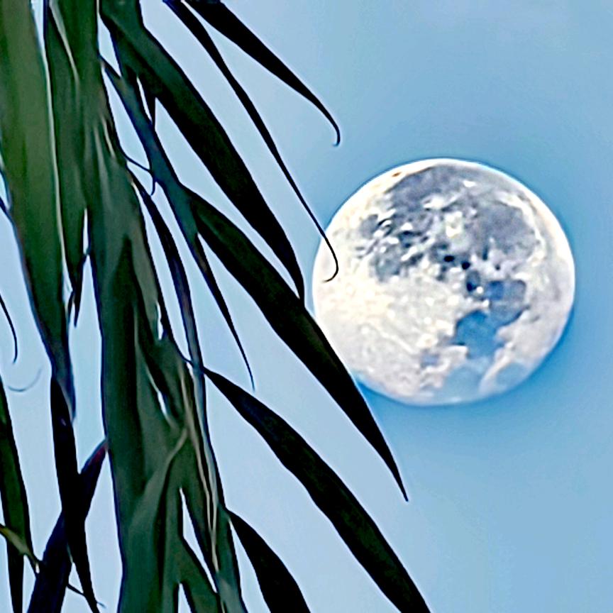 秦岭汉水